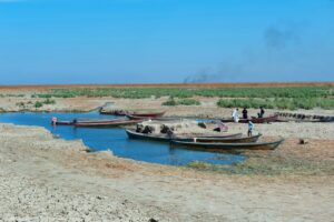 Al-Chibayish Iraq. November 1st 2018 Marsh Arab Fishermen with their Mashoof canoes moored at the edge of the dry cracked earth of the central marshes of southern Iraq, extreme weather causing drougt