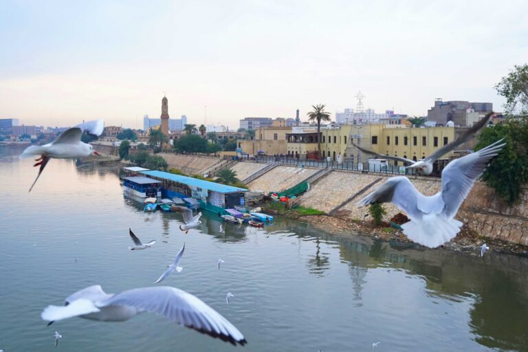 Baghdad, Iraq – December 1, 2025: A view of the Al-Qushla Clock Tower and boats along the Tigris River, framed through the railings of Al-Shaheed Bridge, with seagulls flying over the water.